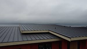 Best Emergency Roof Repair Services  in Hortonville, WI